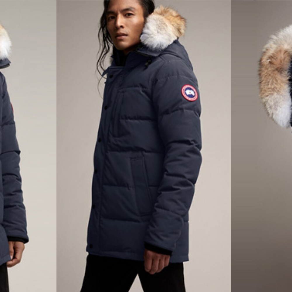 Canada Goose